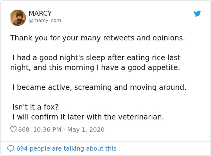 Japanese Man Goes To Social Media To Search For The Owners Of The "Puppy" He Found, Finds Out It's Not A Puppy After All