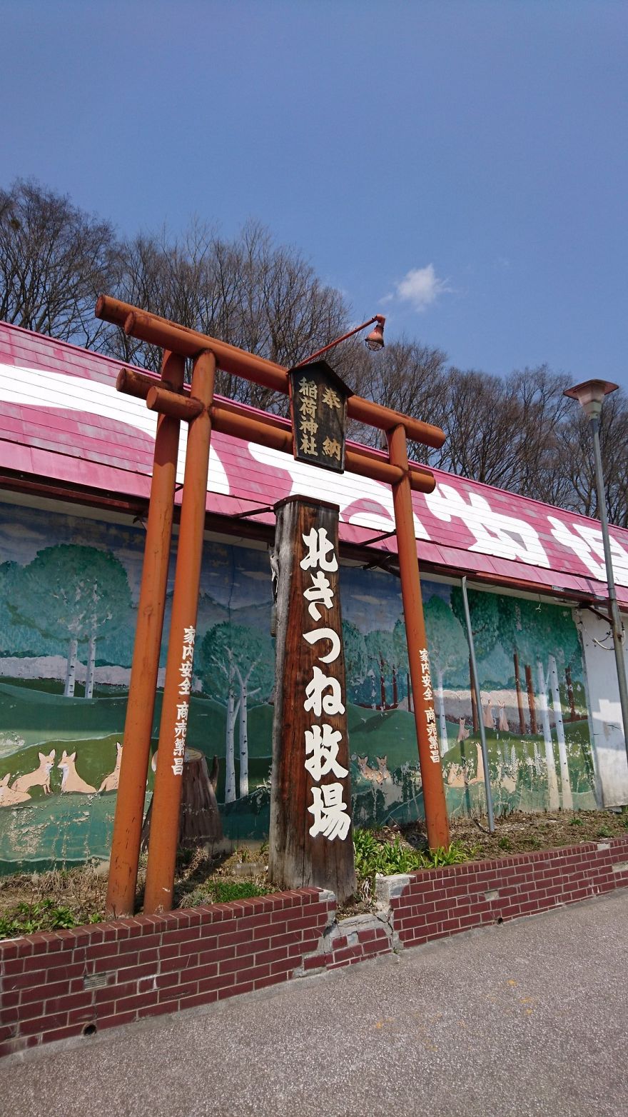 Japanese Man Goes To Social Media To Search For The Owners Of The "Puppy" He Found, Finds Out It's Not A Puppy After All Japanese Man Goes To Social Media To Search For The Owners Of The "Puppy" He Found, Finds Out It's Not A Puppy After All