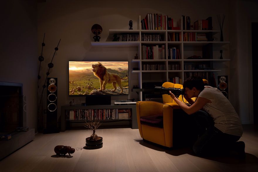 Enjoy The Safari At Home