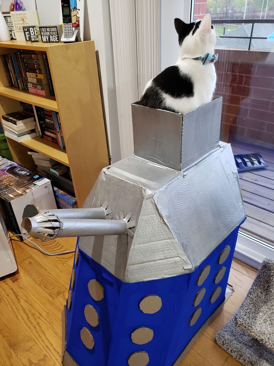 I Built This Dalek For My Cats Out Of Cardboard Boxes, And Topsy And Turvy Are Thrilled I Built This Dalek For My Cats Out Of Cardboard Boxes, And Topsy And Turvy Are Thrilled
