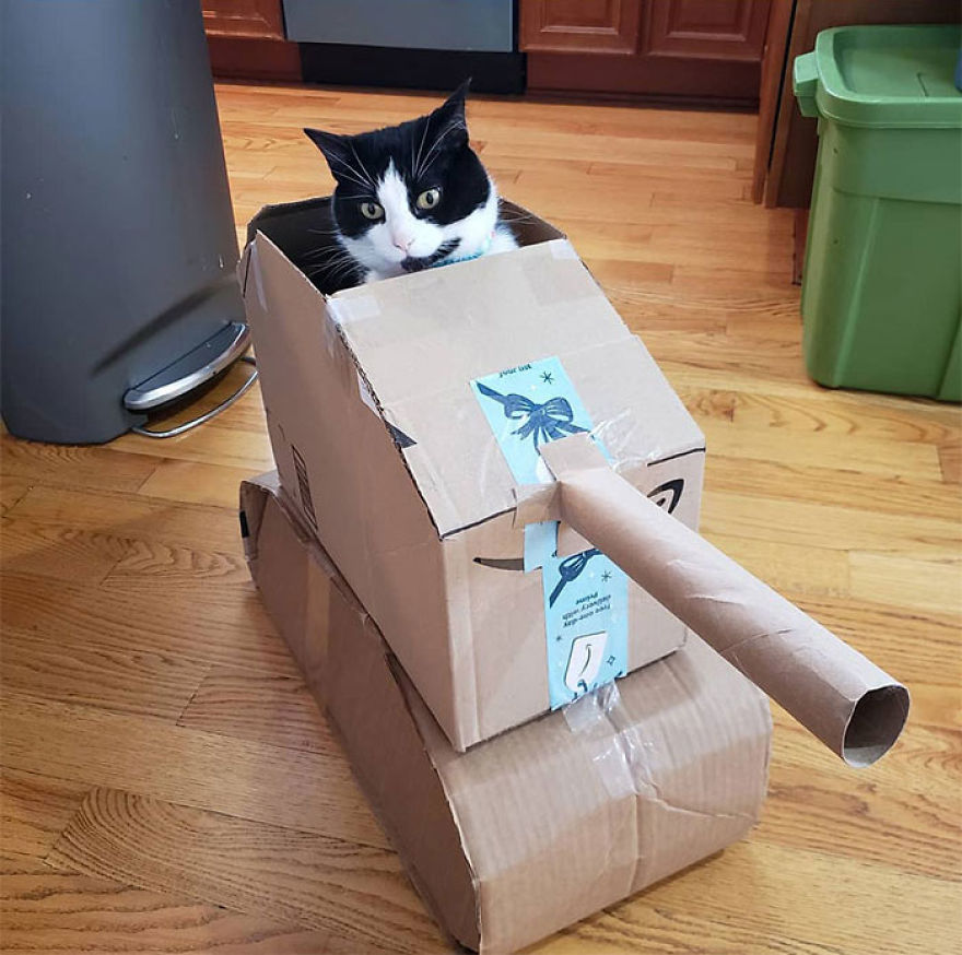 I Built This Dalek For My Cats Out Of Cardboard Boxes, And Topsy And Turvy Are Thrilled