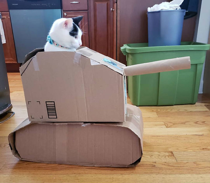 I Built This Dalek For My Cats Out Of Cardboard Boxes, And Topsy And Turvy Are Thrilled