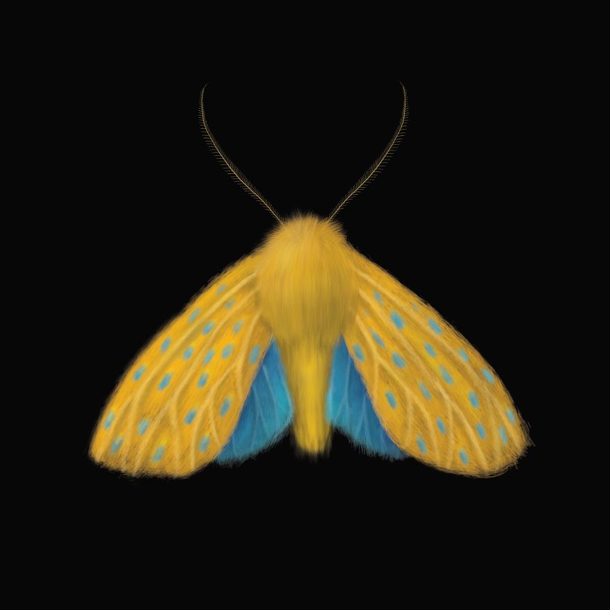 I Created Surreal Moths During Covid-19 Isolation
