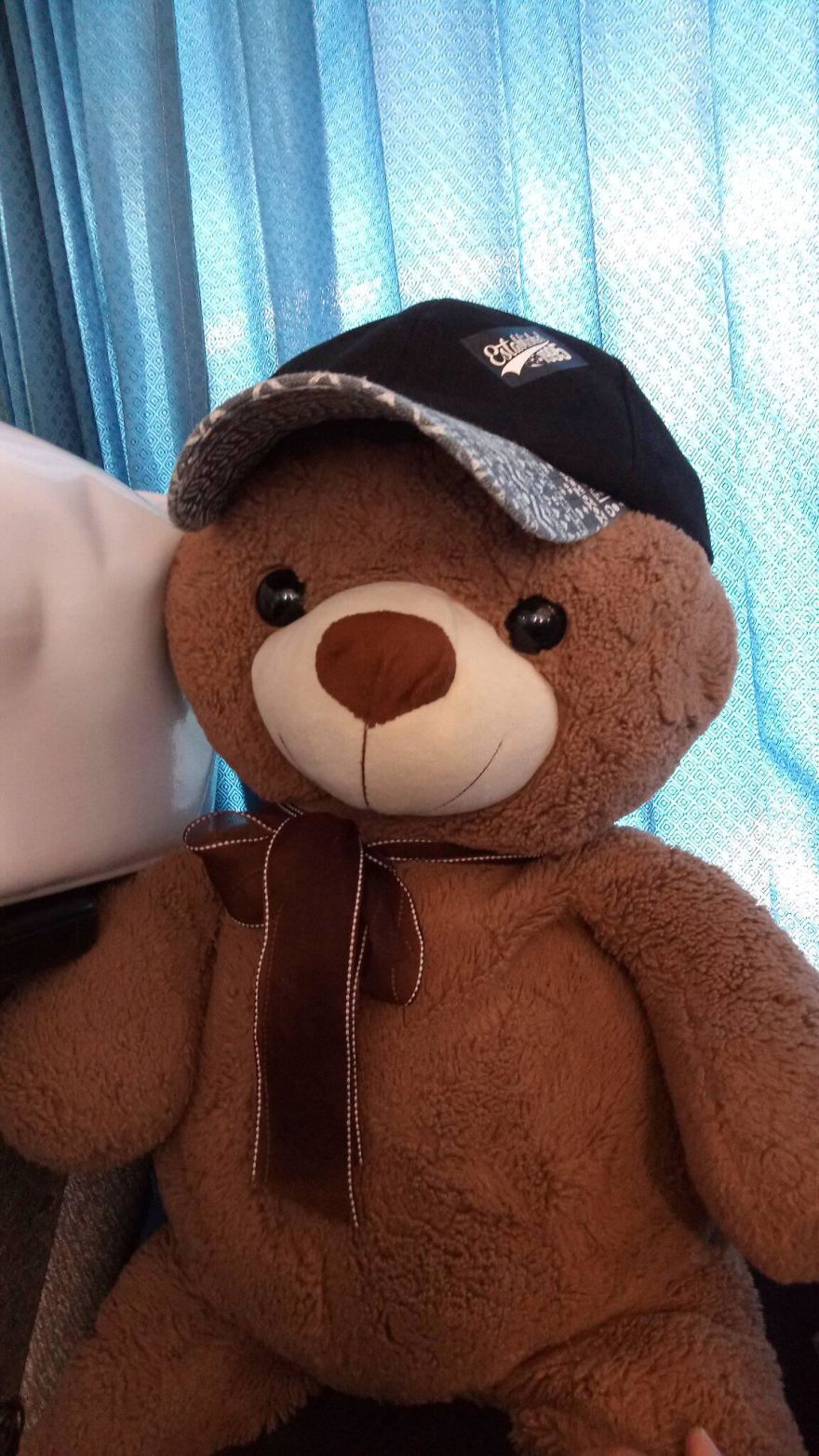 The Adventures Of Milo The Bear