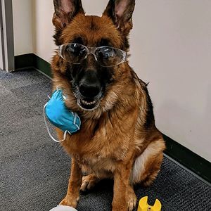 beth_zwynenburg avatar