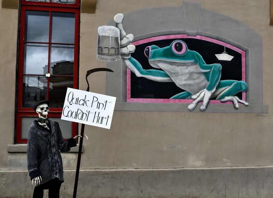 My Halloween Skeletons Became "Humerus" Counter Protestors