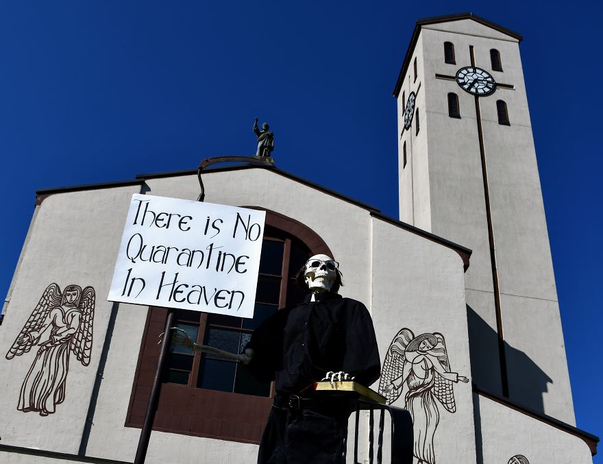 My Halloween Skeletons Became "Humerus" Counter Protestors My Halloween Skeletons Became "Humerus" Counter Protestors
