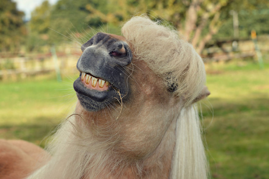 Cosplaying As Joe Exotic