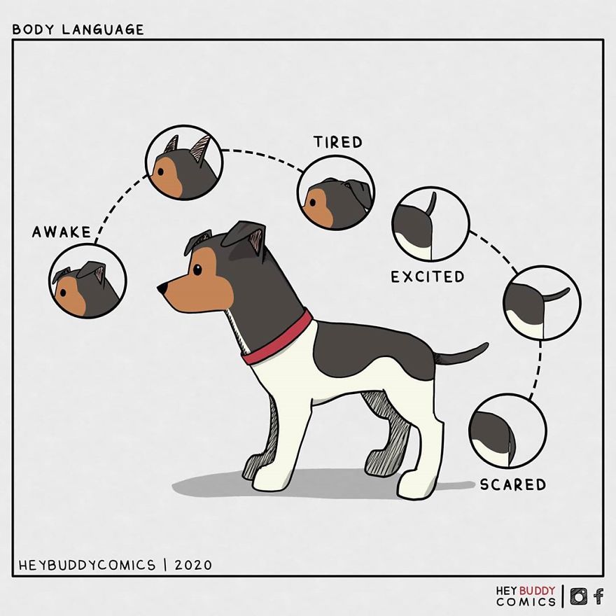 Here Are My Comics Inspired By My Dog That Most Dog Owners May Relate To (23 New Pics)