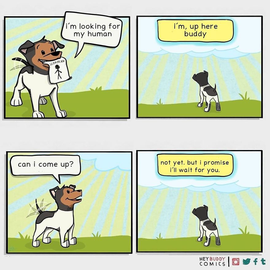 Here Are My Comics Inspired By My Dog That Most Dog Owners May Relate To (23 New Pics)