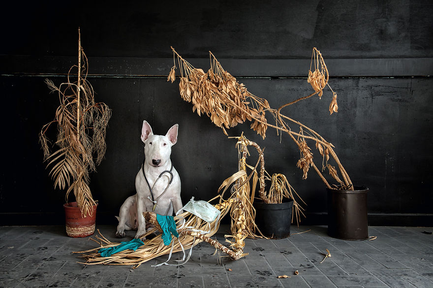 Never Go To A Doctor Whose Office Plants Have Died