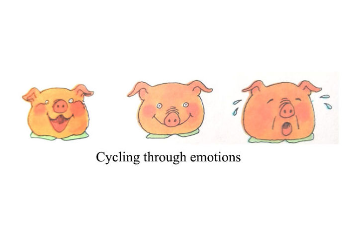 Never Quite Sure Where This Rollercoaster Is Heading