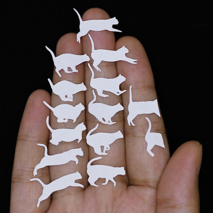 I Create Papercut Animations And Each One Takes At Least A Week To Complete (19 GIFs) I Create Papercut Animations And Each One Takes At Least A Week To Complete (19 GIFs)