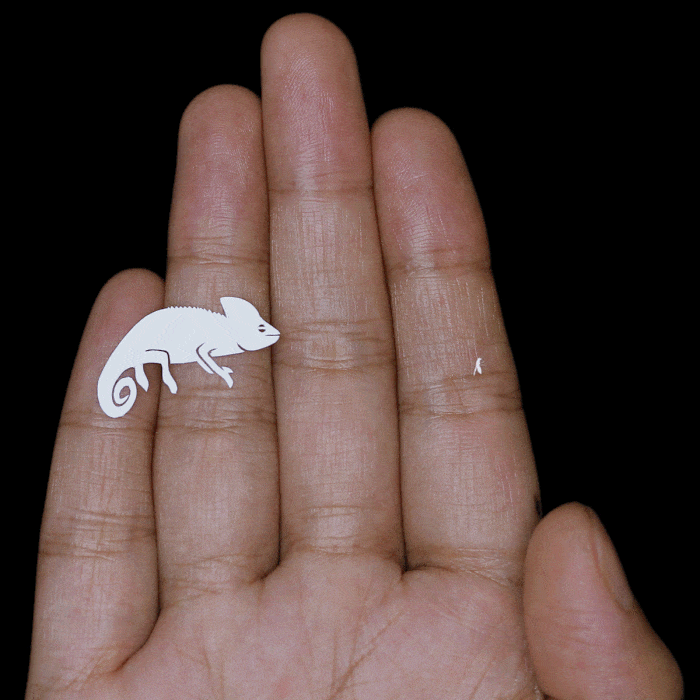 I Create Papercut Animations And Each One Takes At Least A Week To Complete (19 GIFs) I Create Papercut Animations And Each One Takes At Least A Week To Complete (19 GIFs)