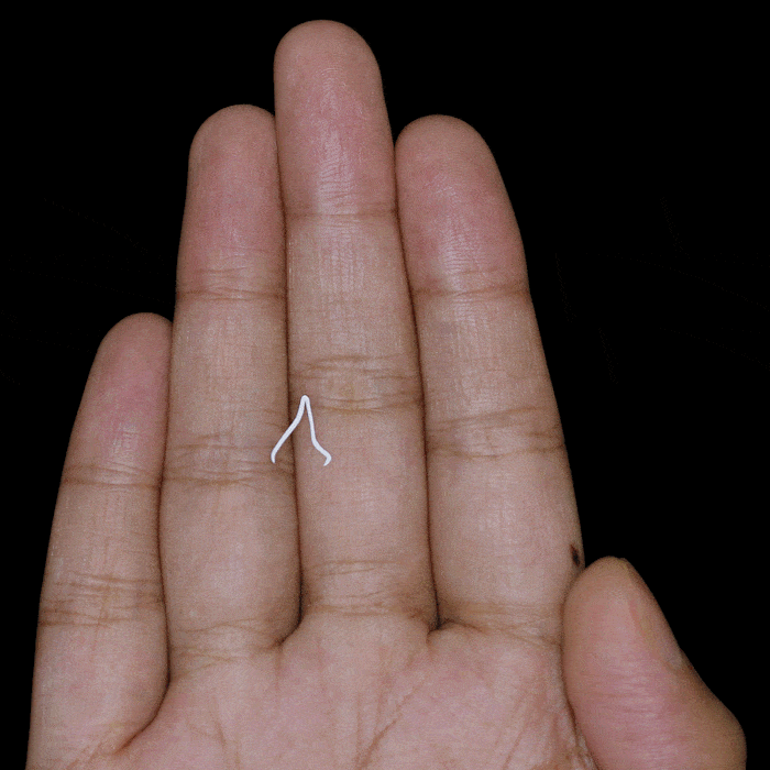 I Create Papercut Animations And Each One Takes At Least A Week To Complete (19 GIFs) I Create Papercut Animations And Each One Takes At Least A Week To Complete (19 GIFs)