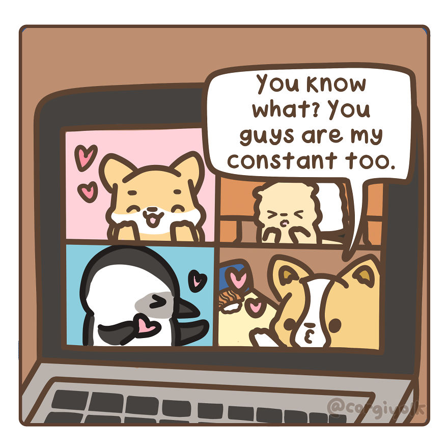 I Created A Comic Strip Based On The Two Widowed Fairy Penguins Photograph That Went Viral