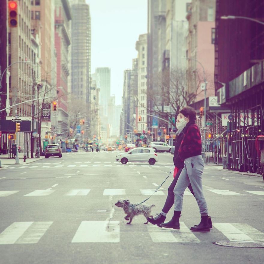 When Walking The Dog Becomes A Luxury Adventure