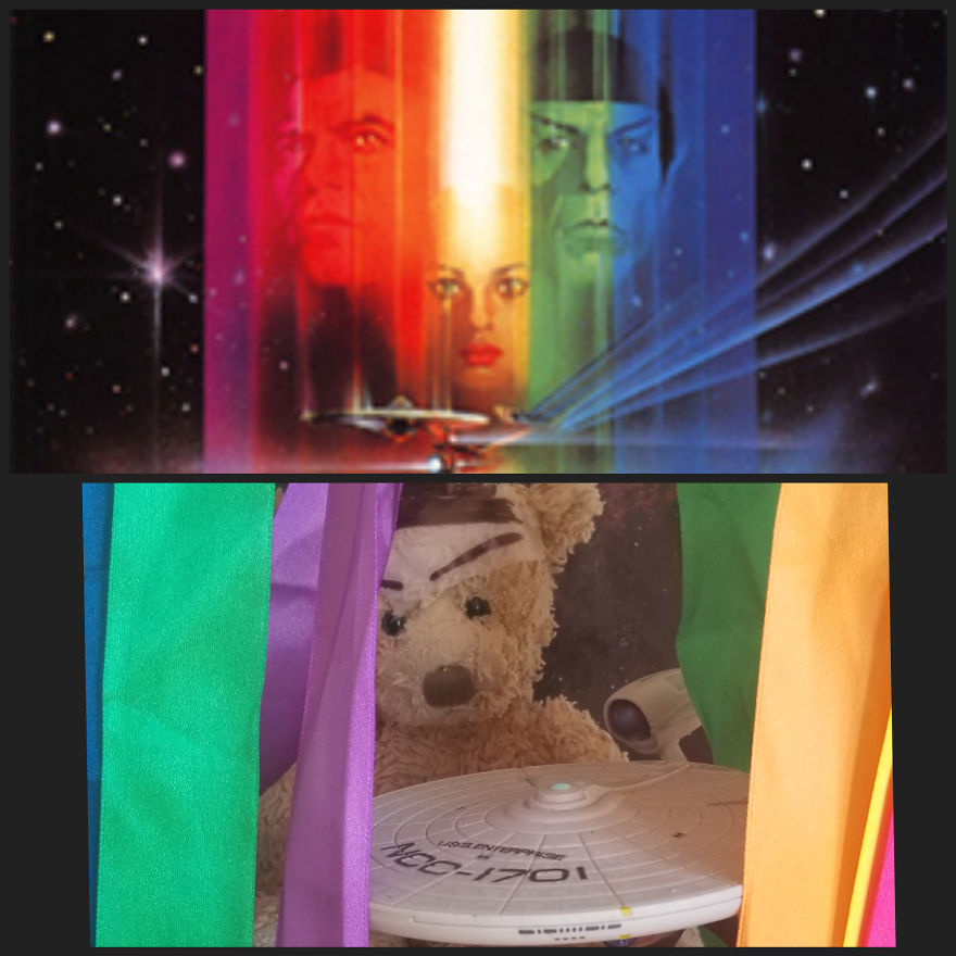 I Recreated Famous Movie Scenes With My Teddy