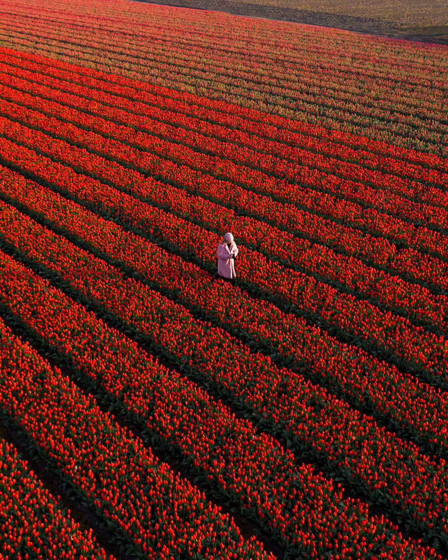 I Took My Mom On A Sunrise Mission