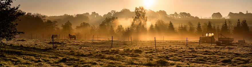 I Was Allowed To Wander My Neighbour's Orchard Alone With My Camera At Dawn To Capture The Blossom And It Was Magical!