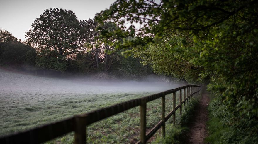 I Was Allowed To Wander My Neighbour's Orchard Alone With My Camera At Dawn To Capture The Blossom And It Was Magical!