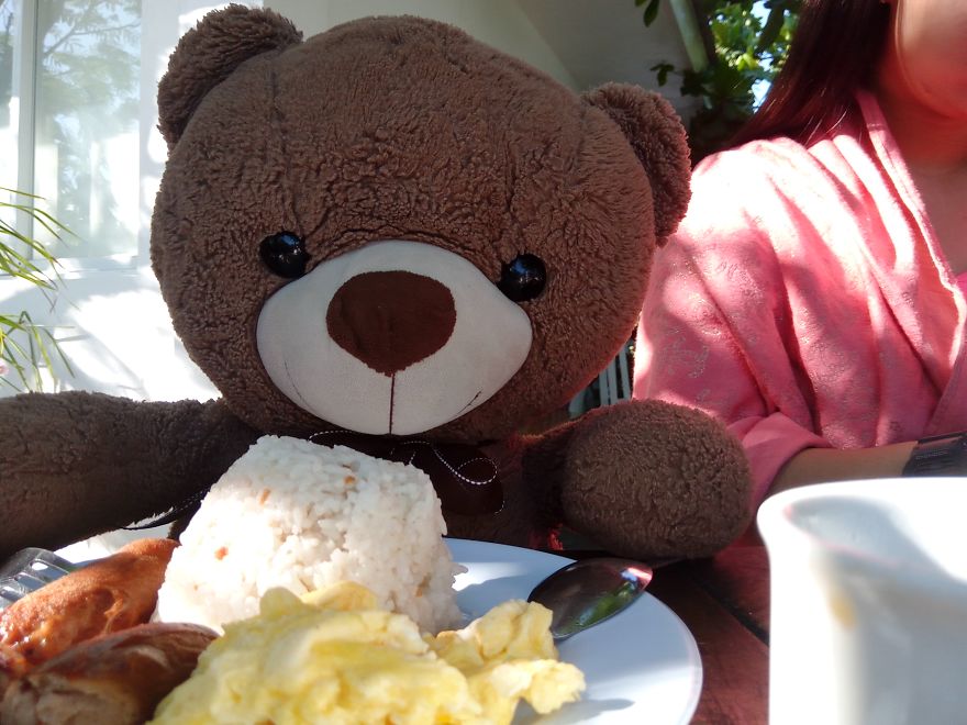 The Adventures Of Milo The Bear