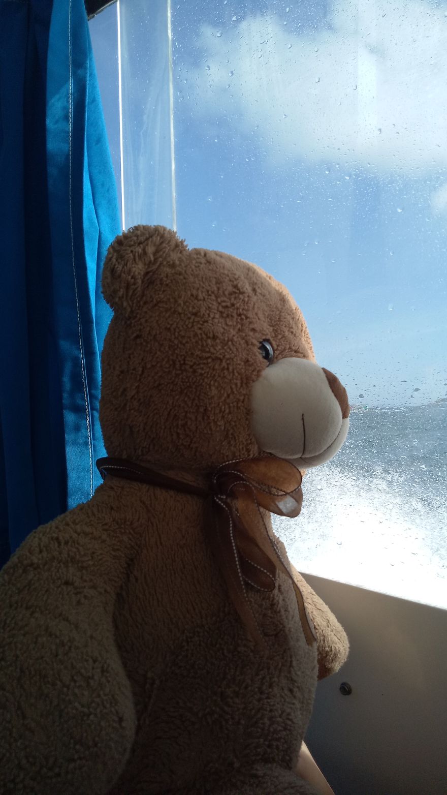 The Adventures Of Milo The Bear