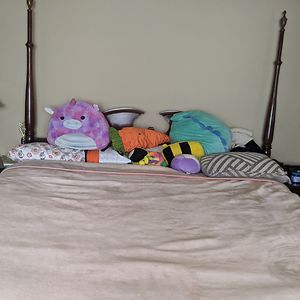 evanderqueamante avatar