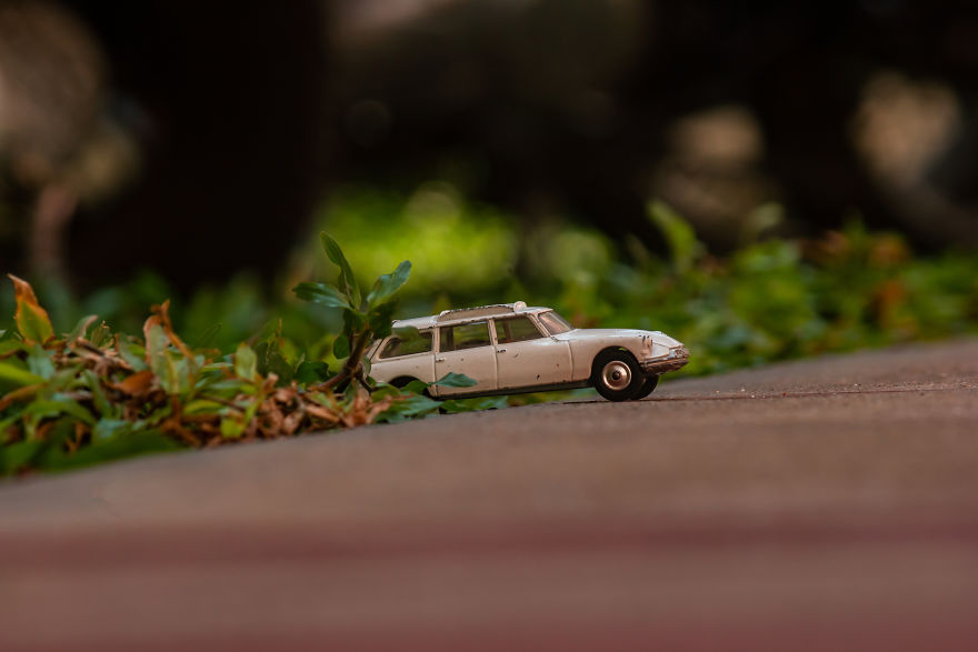 My Roadtrip Was Canceled, So I Did A Miniature Shoot In My Garden