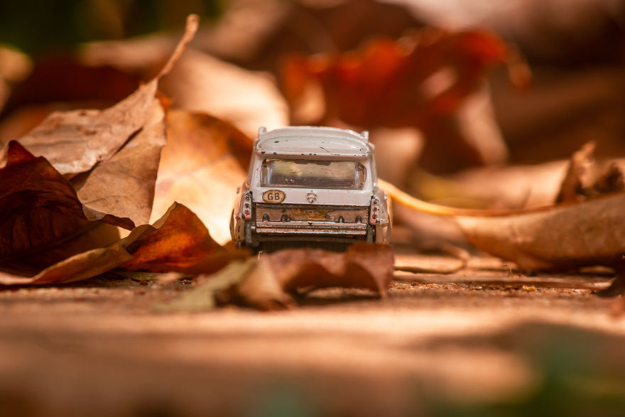 My Roadtrip Was Canceled, So I Did A Miniature Shoot In My Garden