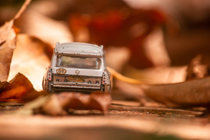 My Roadtrip Was Canceled, So I Did A Miniature Shoot In My Garden