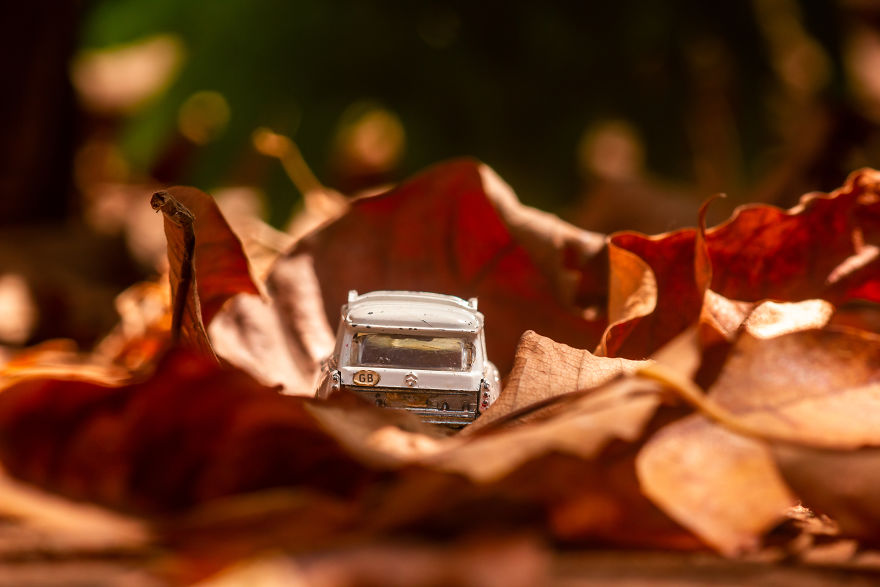 My Roadtrip Was Canceled, So I Did A Miniature Shoot In My Garden