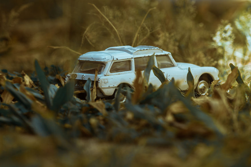 My Roadtrip Was Canceled, So I Did A Miniature Shoot In My Garden