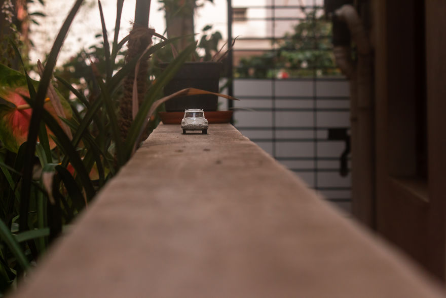 My Roadtrip Was Canceled, So I Did A Miniature Shoot In My Garden