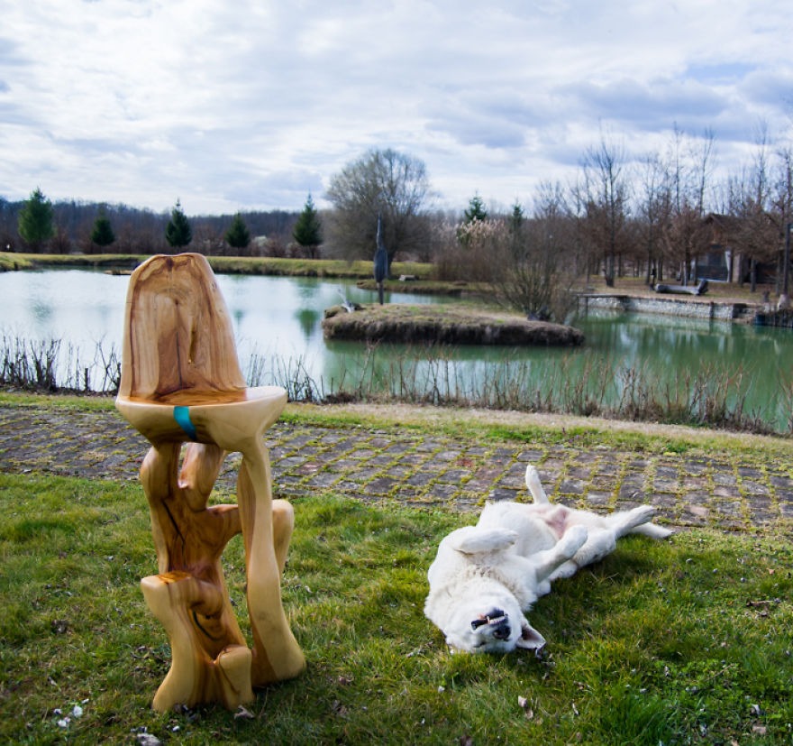 Inovative Furniture Design Or Artistic Masterpiece? These Artists Create Amazing Functional Sculptures Out Of Single Trunk By Chainsaw Carving!