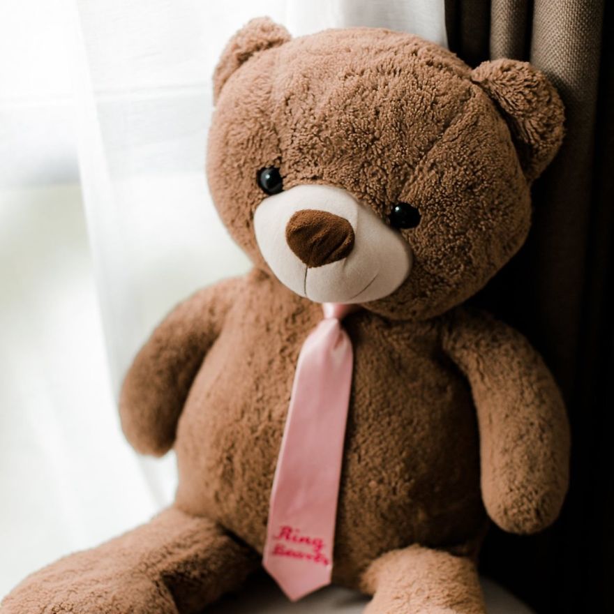 The Adventures Of Milo The Bear