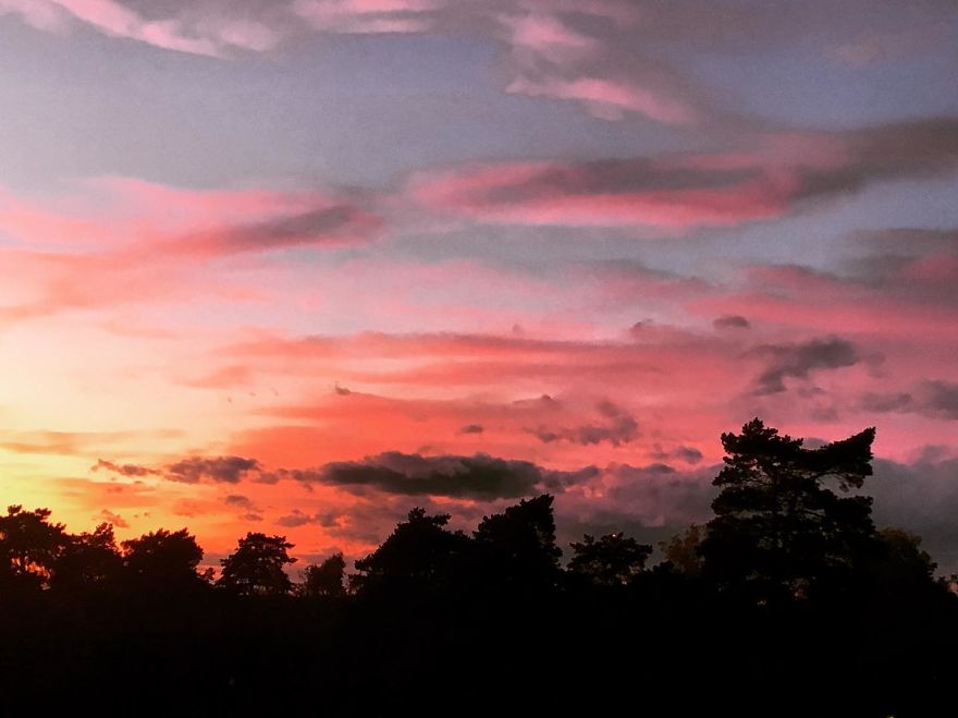 Impressions Of The Evening