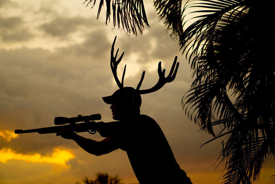 My Cardboard Cutouts With Pandemic Jokes To Make You Smile My Cardboard Cutouts With Pandemic Jokes To Make You Smile