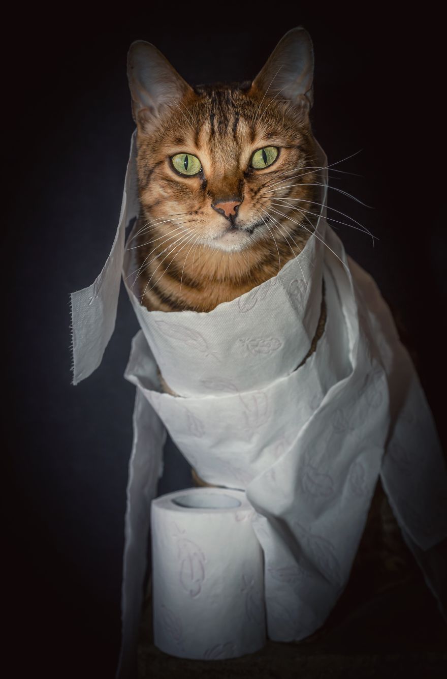 Never Enough Of My Favorite Toys