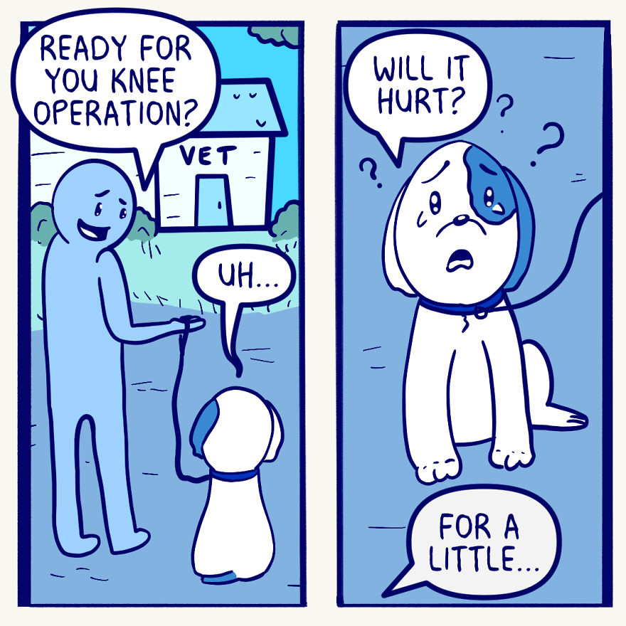 My Dog's Knee Surgery—Life In Blue My Dog's Knee Surgery—Life In Blue