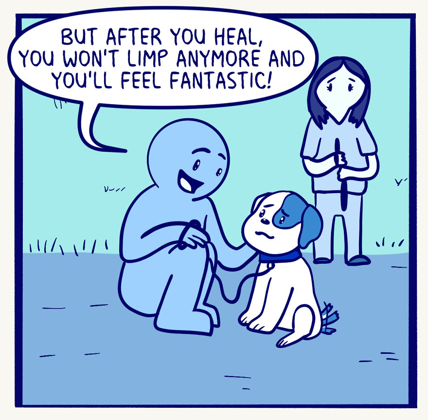 My Dog's Knee Surgery—Life In Blue My Dog's Knee Surgery—Life In Blue