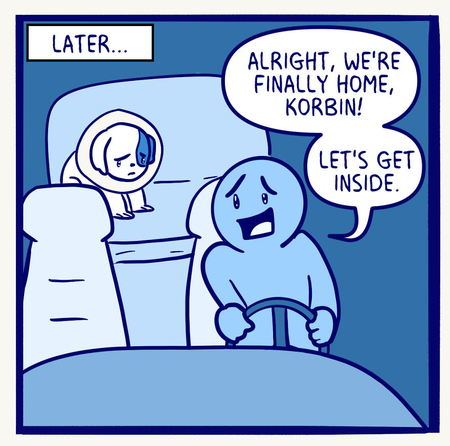 My Dog's Knee Surgery—Life In Blue My Dog's Knee Surgery—Life In Blue