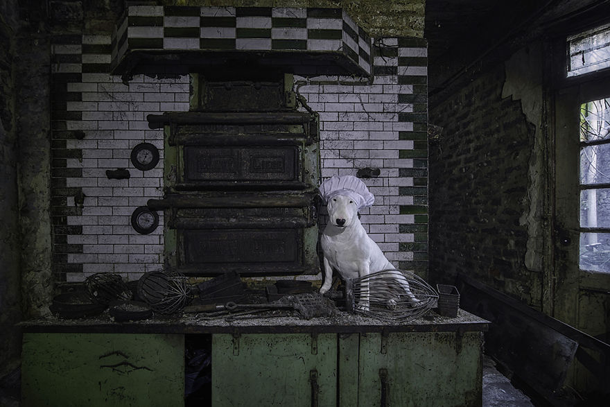 We Keep Exploring, Even During The Corona Crisis!!! Today We Visit The Kitchen Again―The Capital Of Our House