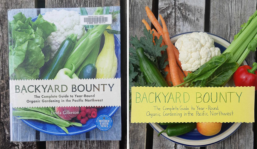 People Are Spending Their Quarantine Time Doing Fun Book Cover Cosplayers