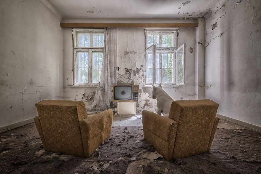 My Mum Got So Fat While #stayathome That When She Walked By The TV, I Missed Three Episodes