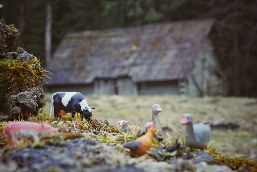 Mother Of 2 Captures The Magic World Of Toys During Quarantine