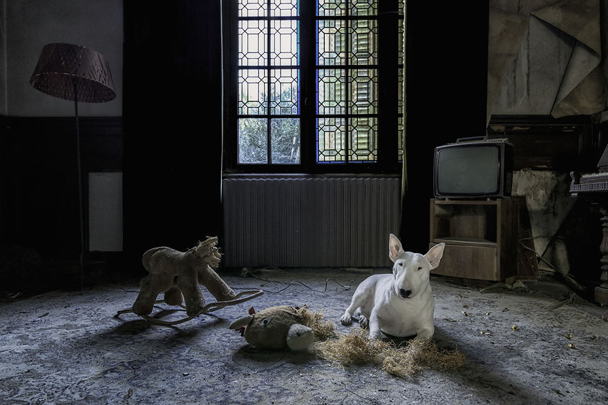 Coronavirus Is The First Thing Made In China That Lasts Longer Than A Month