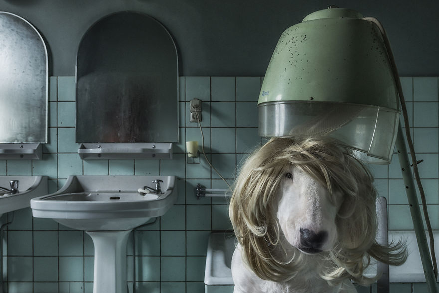 If You Can't Go To The Hairdresser To Get A Haircut, Your Hair Gets Longer