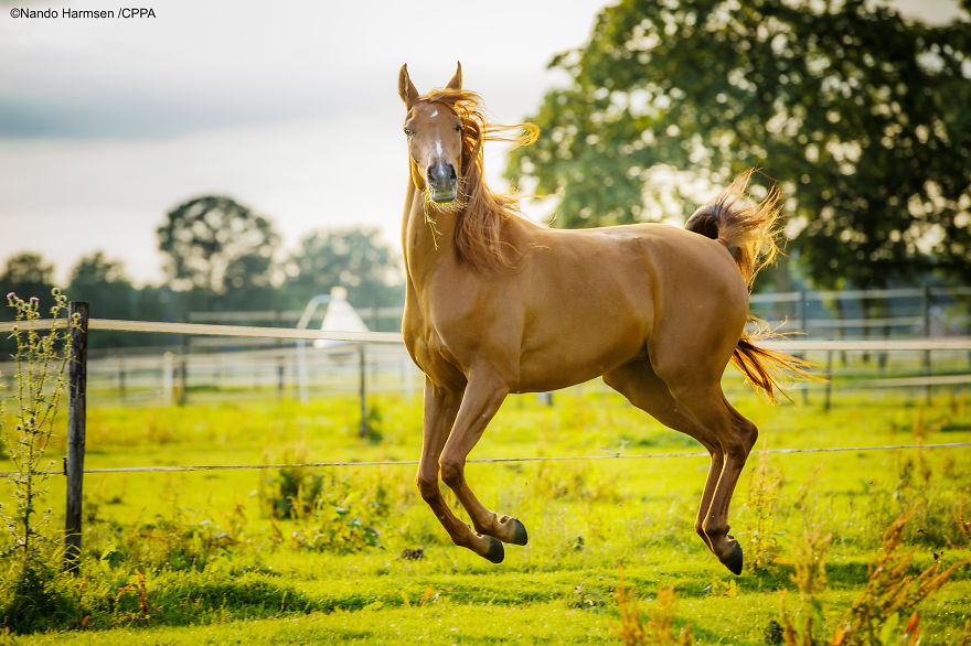 Look At Me, I'm Fabulous