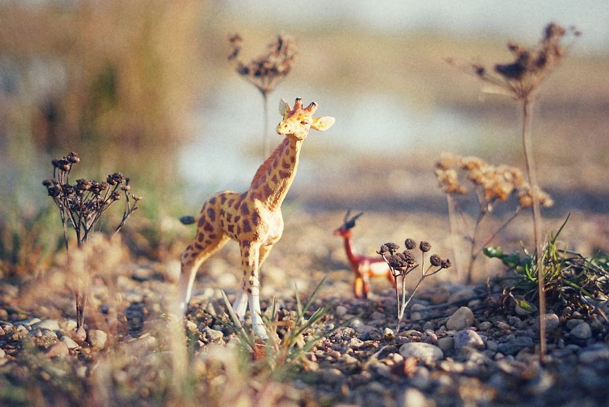 Mother Of 2 Captures The Magic World Of Toys During Quarantine